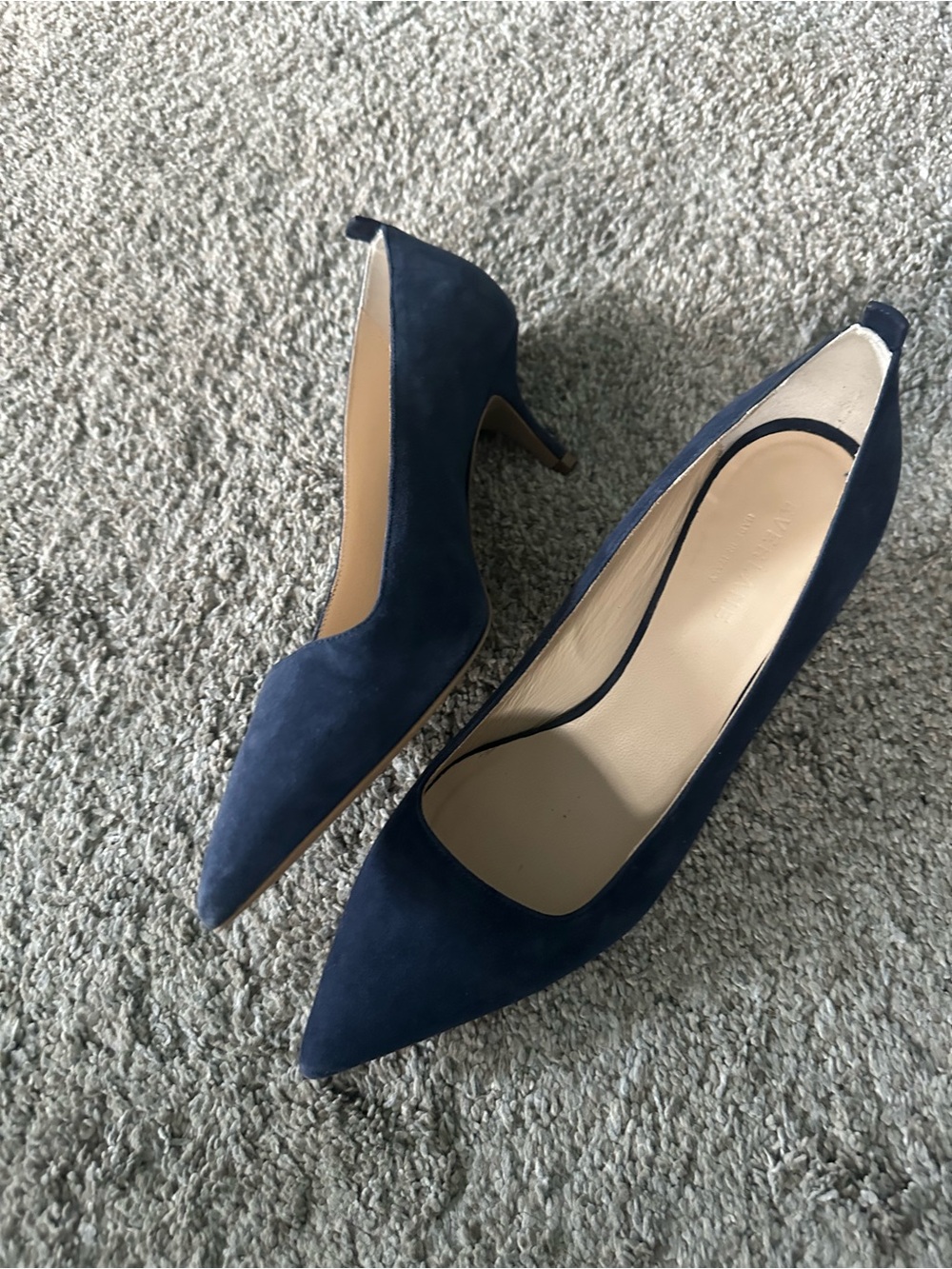 Everlane, the Editor Kitten Heel-Navy Pointed-Toe Suede Pumps